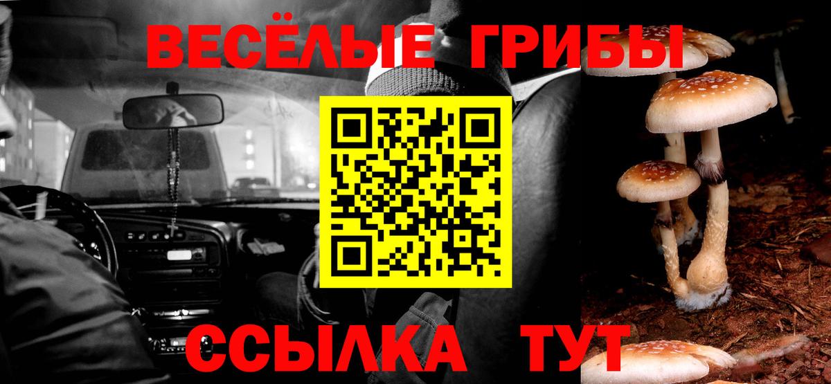 цена   Псилоцибиновые грибы ЛСД  Псилоцибиновые грибы Psilocybe  Вход с VPN  Белорецк 