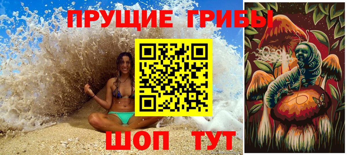 Галлюциногенные грибы Psilocybine cubensis Белорецк